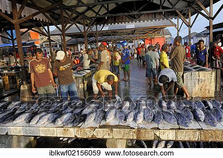 Stock Photo - Fish sales at the fish market, Kota Biak, Biak Island, Irian Jaya, Indonesia, Southeast Asia, Asia. Fotosearch