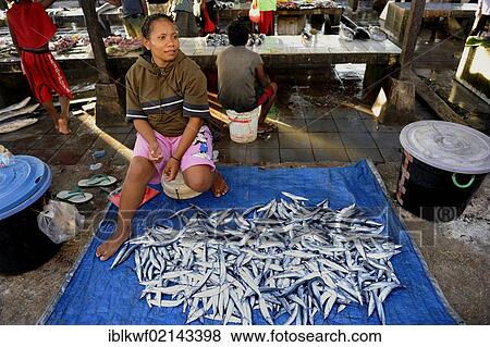 Fish vendor at the fish market in Kota Biak offering freshly caught fish, Biak Island, West Papua, Indonesia, Southeast Asia, Asia View Large Photo Image Stock Photo - Fish vendor at the fish market in Kota Biak offering freshly caught fish, Biak Island, West Papua, Indonesia, Southeast Asia, Asia. Fotosearch
