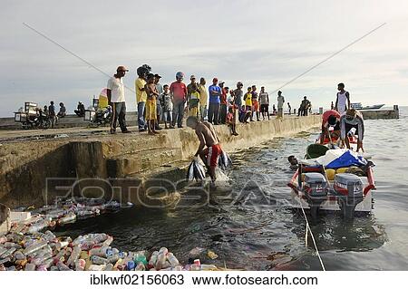 Fishermen landing their catch, taking it to the quay walls, floating plastic debris at front, Kota Biak, Biak Island, Irian Jaya, Indonesia, Southeast Asia, Asia View Large Photo Image Stock Image - Fishermen landing their catch, taking it to the quay walls, floating plastic debris at front, Kota Biak, Biak Island, Irian Jaya, Indonesia, Southeast Asia, Asia. Fotosearch