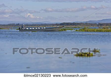 Fishing boat on Lake Naivasha, Kenya, East Africa, Africa, PublicGround, Africa View Large Photo Image Stock Image - Fishing boat on Lake Naivasha, Kenya, East Africa, Africa, PublicGround, Africa. Fotosearch
