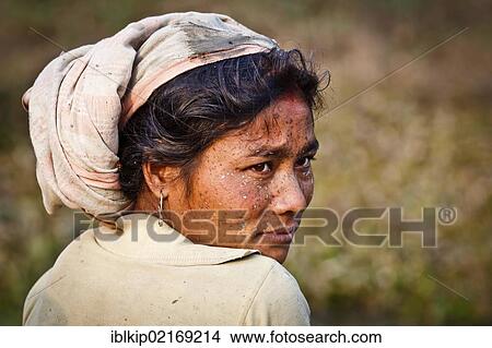 Fishing woman from the Mishing tribe wearing Assamese scarf, Majuli Island in the Brahmaputra river, Assam, India, Asia View Large Photo Image Picture - Fishing woman from the Mishing tribe wearing Assamese scarf, Majuli Island in the Brahmaputra river, Assam, India, Asia. Fotosearch