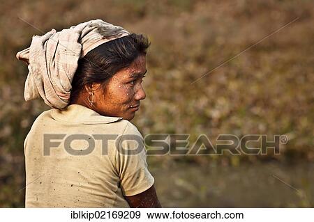Fishing woman from the Mishing tribe wearing Assamese scarf, Majuli Island in the Brahmaputra river, Assam, India, Asia View Large Photo Image Stock Photo - Fishing woman from the Mishing tribe wearing Assamese scarf, Majuli Island in the Brahmaputra river, Assam, India, Asia. Fotosearch