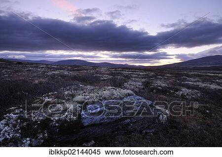 Stock Photography - Fjell landscape at dawn, Dalholen, Norway, Europe. Fotosearch