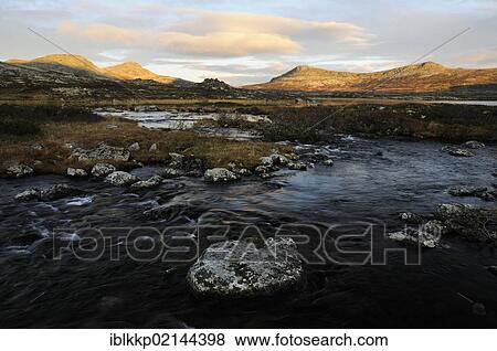 Fjell landscape at Lake Muvatnet in autumn, Ringebufjellet, Norway, Europe View Large Photo Image Stock Photo - Fjell landscape at Lake Muvatnet in autumn, Ringebufjellet, Norway, Europe. Fotosearch
