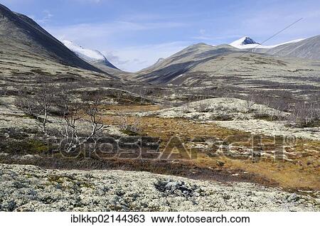Stock Image - Fjell landscape in front of snow covered mountains in Rondane National Park, Norway, Europe. Fotosearch