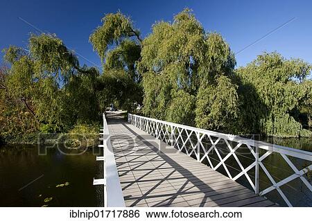 Footbridge in the Botanical Garden in Copenhagen, Denmark, Europe View Large Photo Image Stock Photograph - Footbridge in the Botanical Garden in Copenhagen, Denmark, Europe. Fotosearch