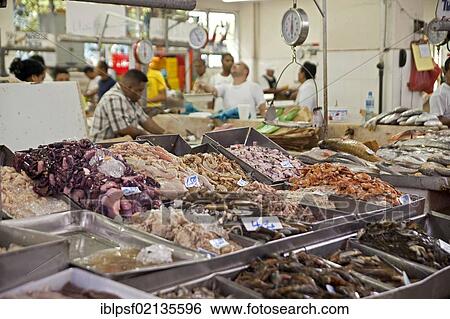 Freshly caught fish and seafood at the fish market in Panama City, Panama, Central America, North America View Large Photo Image Stock Photograph - Freshly caught fish and seafood at the fish market in Panama City, Panama, Central America, North America. Fotosearch