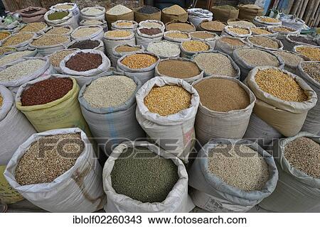 Full bags of lentils, chillies, grains and legumes, artisan street, Kashgar, Silk Road, Xinjiang, China, Asia View Large Photo Image Stock Image - Full bags of lentils, chillies, grains and legumes, artisan street, Kashgar, Silk Road, Xinjiang, China, Asia. Fotosearch