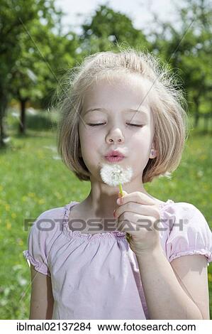 Girl blowing on a dandelion clock View Large Photo Image Picture - Girl blowing on a dandelion clock. Fotosearch