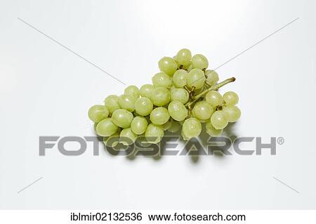 Grapes View Large Photo Image Stock Photograph - Grapes. Fotosearch