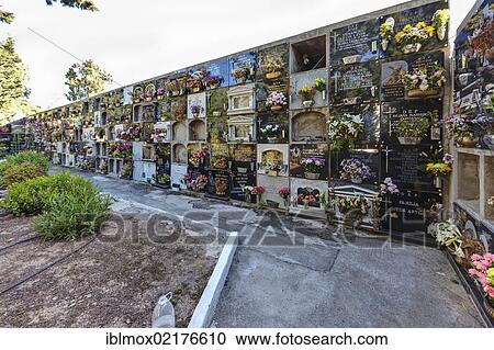 Graveyard at Los Cercados San Bartolomé Tirajana, Gran Canaria, Canary Islands, Spain, Europe View Large Photo Image Stock Image - Graveyard at Los Cercados San Bartolomé Tirajana, Gran Canaria, Canary Islands, Spain, Europe. Fotosearch