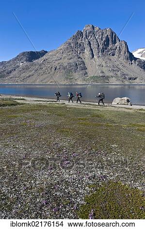 Picture - Group of hikers at a lake near Tasiilaq or Ammassalik, East Greenland, Greenland, North America. Fotosearch