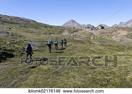 Group of hikers near Tasiilaq or Ammassalik, East Greenland, Greenland, North America View Large Photo Image Stock Photo - Group of hikers near Tasiilaq or Ammassalik, East Greenland, Greenland, North America. Fotosearch
