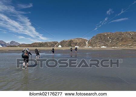 Stock Photo - Group of hikers with backpacks crossing a creek at Sermelik Fjord, Ammassalik Peninsula, East Greenland, Greenland, North America. Fotosearch