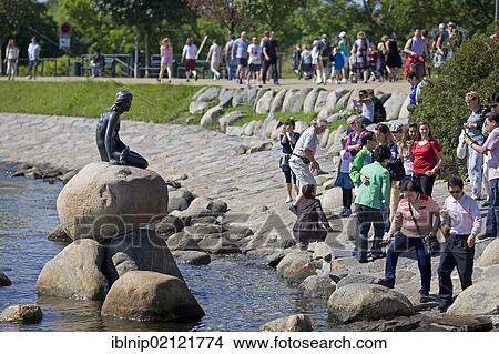 Group of tourists visiting The Little Mermaid, Copenhagen, Denmark, Europe View Large Photo Image Picture - Group of tourists visiting The Little Mermaid, Copenhagen, Denmark, Europe. Fotosearch