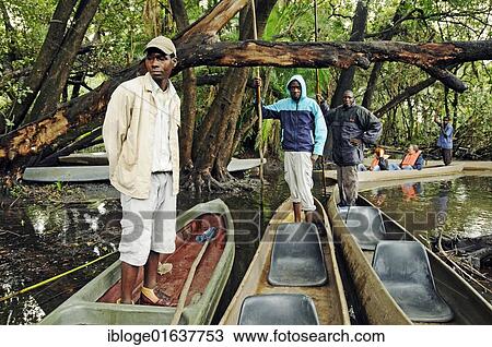 Guides and boatmen, with pole on mokoro or makoro canoes, Okavango Delta, Botswana, Africa View Large Photo Image Stock Image - Guides and boatmen, with pole on mokoro or makoro canoes, Okavango Delta, Botswana, Africa. Fotosearch
