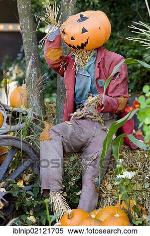 Halloween scarecrow in Tivoli, Copenhagen, Denmark, Europe View Large Photo Image Stock Photography - Halloween scarecrow in Tivoli, Copenhagen, Denmark, Europe. Fotosearch
