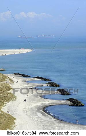 Picture - Headland where the North Sea and the Baltic Sea meet, container ships at back, Skagen, Jutland, Denmark, Europe. Fotosearch