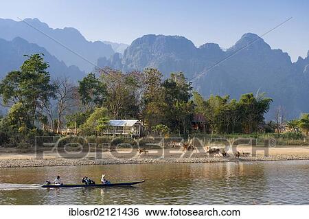 Herd of buffaloes and canoe on the Nam Song River, karst mountains, Vang Vieng, Vientiane, Laos, Indochina, Asia View Large Photo Image Stock Photograph - Herd of buffaloes and canoe on the Nam Song River, karst mountains, Vang Vieng, Vientiane, Laos, Indochina, Asia. Fotosearch