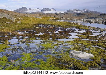 High mountain landscape in Jotunheimen National Park, Norway, Europe View Large Photo Image Stock Image - High mountain landscape in Jotunheimen National Park, Norway, Europe. Fotosearch
