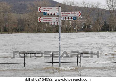 High water of the Rhine River near Bonn, flooded bike path and promenade, sign post in the water, North Rhine-Westphalia, Germany, Europe View Large Photo Image Stock Image - High water of the Rhine River near Bonn, flooded bike path and promenade, sign post in the water, North Rhine-Westphalia, Germany, Europe. Fotosearch