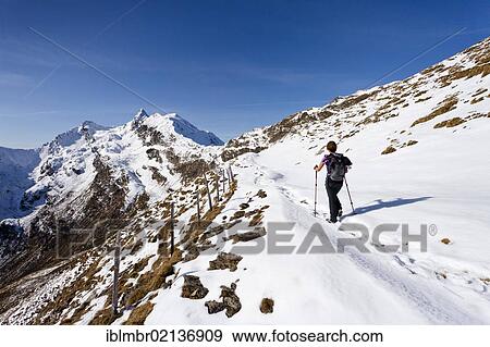 Hiker ascending Penser Weisshorn Mountain above Penser Joch Pass, looking towards the summit of Penser Weisshorn Mountain, Sarn Valley, Alto Adige, Italy, Europe View Large Photo Image Stock Photo - Hiker ascending Penser Weisshorn Mountain above Penser Joch Pass, looking towards the summit of Penser Weisshorn Mountain, Sarn Valley, Alto Adige, Italy, Europe. Fotosearch
