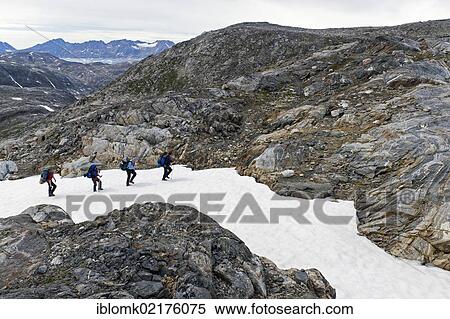 Hikers on a snow field, at Mittivakkat Glacier, Sermelik Fjord, Ammassalik Peninsula, East Greenland, Greenland, North America View Large Photo Image Stock Photography - Hikers on a snow field, at Mittivakkat Glacier, Sermelik Fjord, Ammassalik Peninsula, East Greenland, Greenland, North America. Fotosearch