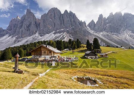 Picture - Hikers on Geisler Alm alpine pasture in the Villnoess Valley below Geislerspitzen Mountain, looking towards the Geisler Group, Sass Rigais, Dolomites, Alto Adige, Italy, Europe. Fotosearch