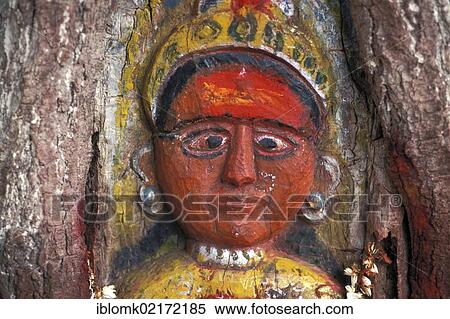 Stock Photography - Hindu fertility goddess carved into a tree, tree temple, Hampi, Karnataka, South India, Asia. Fotosearch