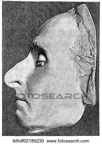 Historical print from the 19th century, the death mask of Blaise Pascal, 1623 - 1662, a French mathematician, physicist, philosopher, writer and Catholic philosopher View Large Photo Image Stock Image - Historical print from the 19th century, the death mask of Blaise Pascal, 1623 - 1662, a French mathematician, physicist, philosopher, writer and Catholic philosopher. Fotosearch
