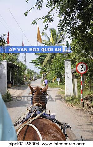Horse, horse-drawn carriage, My Tho, Vietnam, Southeast Asia, Asia View Large Photo Image Picture - Horse, horse-drawn carriage, My Tho, Vietnam, Southeast Asia, Asia. Fotosearch