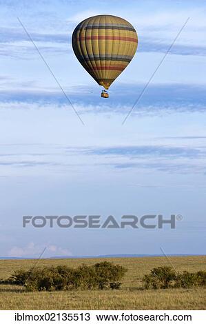 Hot air balloon over the Masai Mara Nature Reserve in the morning, Kenya, East Africa, Africa, PublicGround, Africa View Large Photo Image Stock Image - Hot air balloon over the Masai Mara Nature Reserve in the morning, Kenya, East Africa, Africa, PublicGround, Africa. Fotosearch