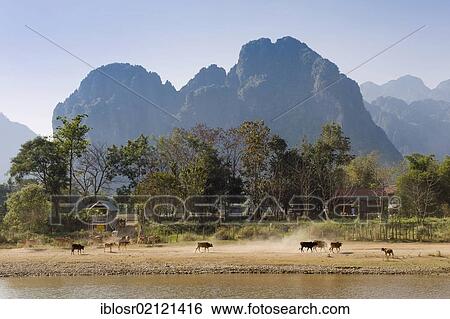 Karst mountains, Nam Song River, Vang Vieng, Vientiane, Laos, Indochina, Asia View Large Photo Image Stock Photograph - Karst mountains, Nam Song River, Vang Vieng, Vientiane, Laos, Indochina, Asia. Fotosearch