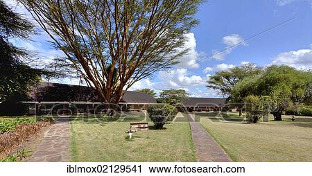 Keekorok Lodge, Masai Mara National Park, Kenya, East Africa, Africa View Large Photo Image Stock Image - Keekorok Lodge, Masai Mara National Park, Kenya, East Africa, Africa. Fotosearch