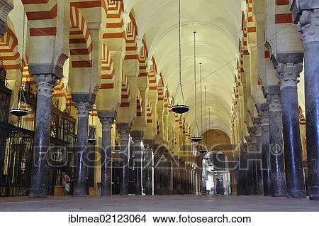 La Mezquita mosque, cathedral of Cordoba, Cordoba, Andalusia, Spain, Europe View Large Photo Image Picture - La Mezquita mosque, cathedral of Cordoba, Cordoba, Andalusia, Spain, Europe. Fotosearch