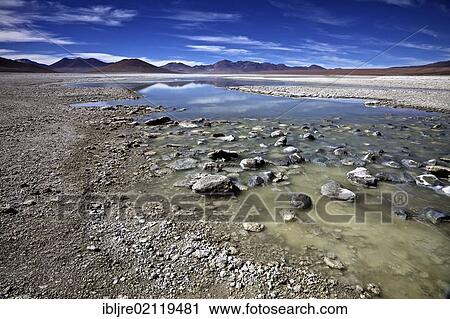 Stock Image - Laguna Blanca, Andina Eduardo Abaro National Park, Altiplano, Potosi, southern Bolivia, South America. Fotosearch