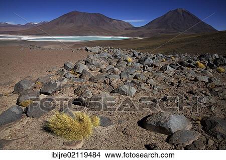 Picture - Laguna Verde with Juriques Volcano, 5704 m, and Licancabur Volcano 5920m, The People's Mountain, Andina Eduardo Abaro National Park, Altiplano, Potosi, southern Bolivia, South America. Fotosearch
