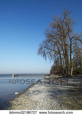 Stock Photo - Lake Ammer, Breitbrunn, Bavaria, Germany, Europe. Fotosearch