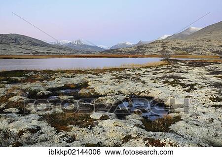 Lake Doralstjornin near Doralseter hut, Rondane National Park, Norway, Europe View Large Photo Image Stock Photograph - Lake Doralstjornin near Doralseter hut, Rondane National Park, Norway, Europe. Fotosearch