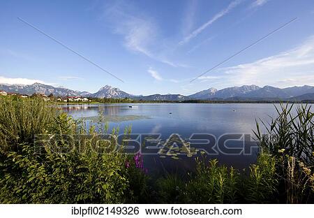 Lake Hopfen, Hopfen am See, Allgaeu, Bavaria, Germany, Europe View Large Photo Image Stock Photograph - Lake Hopfen, Hopfen am See, Allgaeu, Bavaria, Germany, Europe. Fotosearch