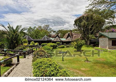 Lake Nakuru Lodge, Lake Nakuru National Park, Kenya, East Africa, Africa View Large Photo Image Picture - Lake Nakuru Lodge, Lake Nakuru National Park, Kenya, East Africa, Africa. Fotosearch