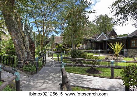 Lake Nakuru Lodge, Lake Nakuru National Park, Kenya, East Africa, Africa View Large Photo Image Stock Photography - Lake Nakuru Lodge, Lake Nakuru National Park, Kenya, East Africa, Africa. Fotosearch