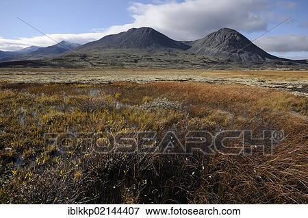 Stock Photo - Landscape near the Doralseter hut, Rondane National Park, Norway, Europe. Fotosearch
