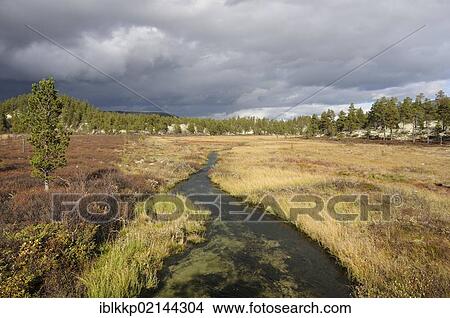 Landscape with a stream in Rondane National Park, Norway, Europe View Large Photo Image Picture - Landscape with a stream in Rondane National Park, Norway, Europe. Fotosearch