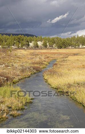 Landscape with a stream in Rondane National Park, Norway, Europe View Large Photo Image Stock Image - Landscape with a stream in Rondane National Park, Norway, Europe. Fotosearch