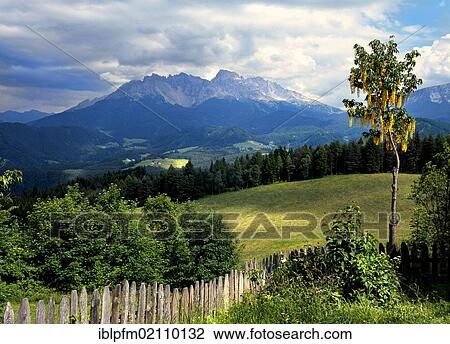 Latemar mountain, Dolomites, South Tyrol, Italy, Europe View Large Photo Image Stock Image - Latemar mountain, Dolomites, South Tyrol, Italy, Europe. Fotosearch