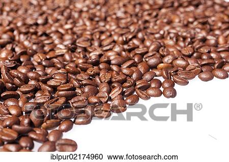 Light roasted coffee beans View Large Photo Image Stock Image - Light roasted coffee beans. Fotosearch