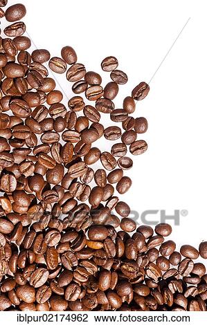 Stock Image - Light roasted coffee beans. Fotosearch