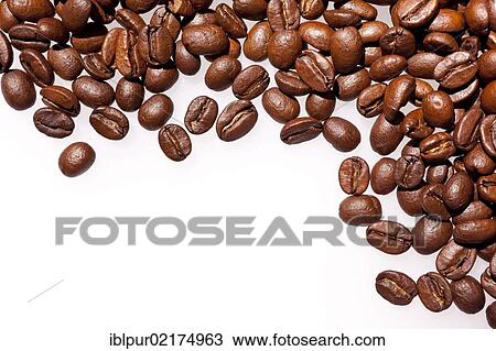 Light roasted coffee beans View Large Photo Image Stock Image - Light roasted coffee beans. Fotosearch