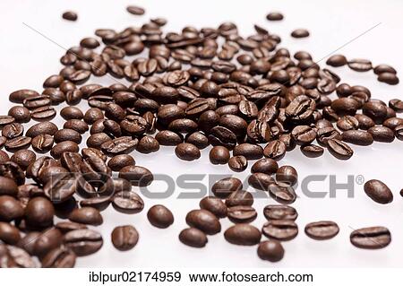 Light roasted coffee beans View Large Photo Image Stock Photo - Light roasted coffee beans. Fotosearch
